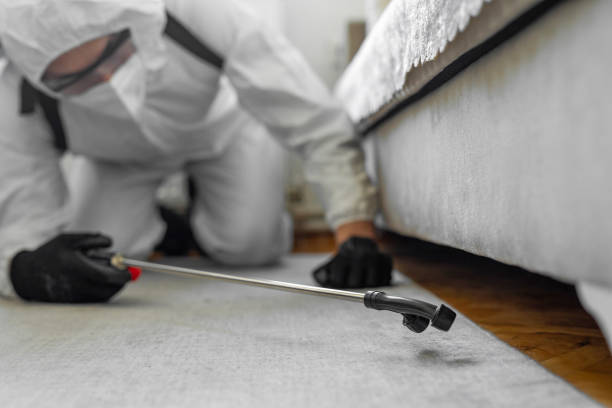 Professional Pest Control technician working in Spackenkill, NY